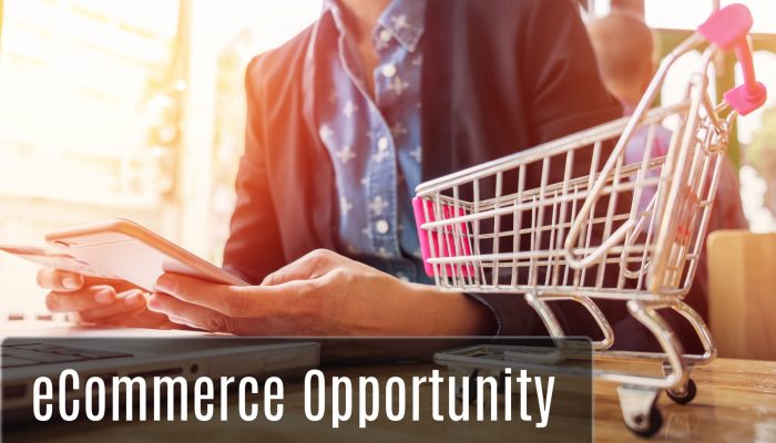 eCommerce Opportunities - Online Lalaji (1)